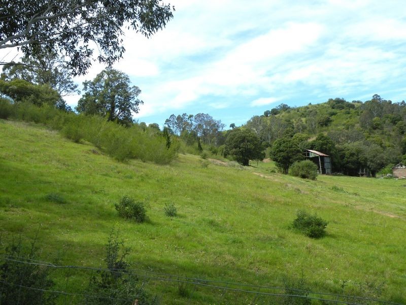 134 Menangle Street, Picton NSW 2571