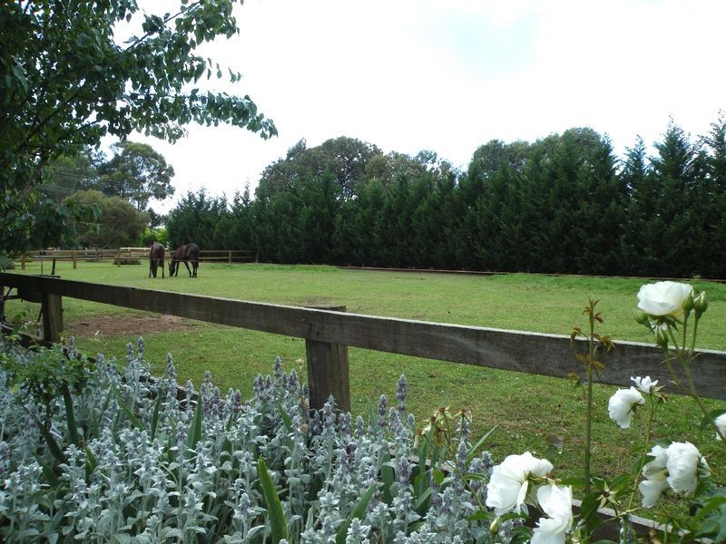 Pheasants Nest NSW 2574