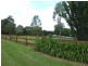 Pheasants Nest NSW 2574