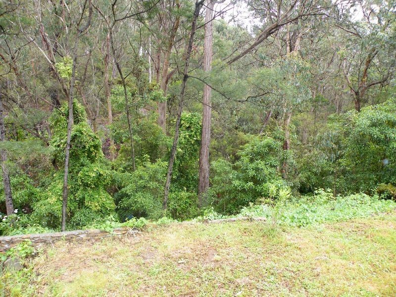 5-7 Belair Road, Buxton NSW 2571