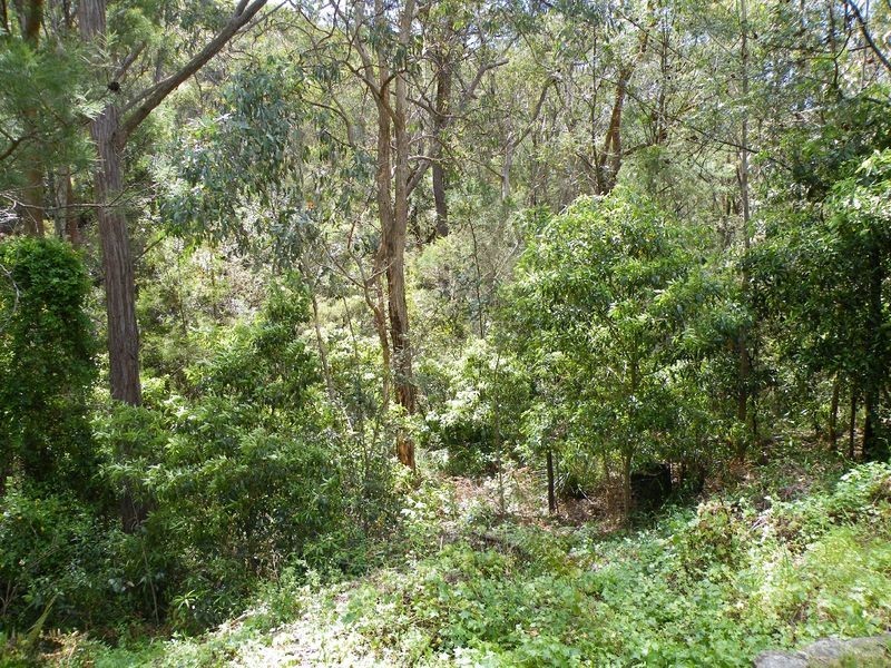 5-7 Belair Road, Buxton NSW 2571