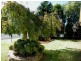 Buxton NSW 2571