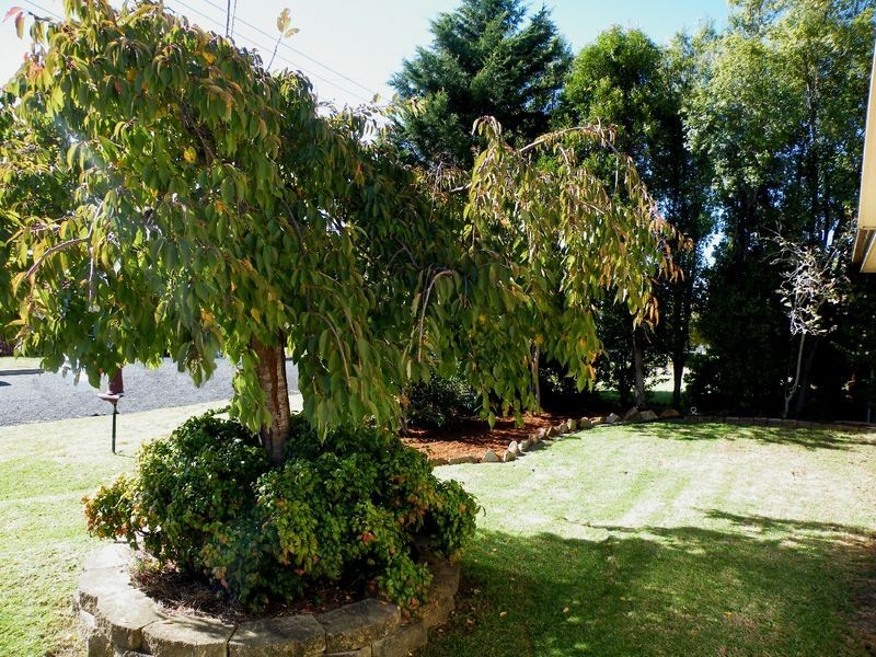 Buxton NSW 2571