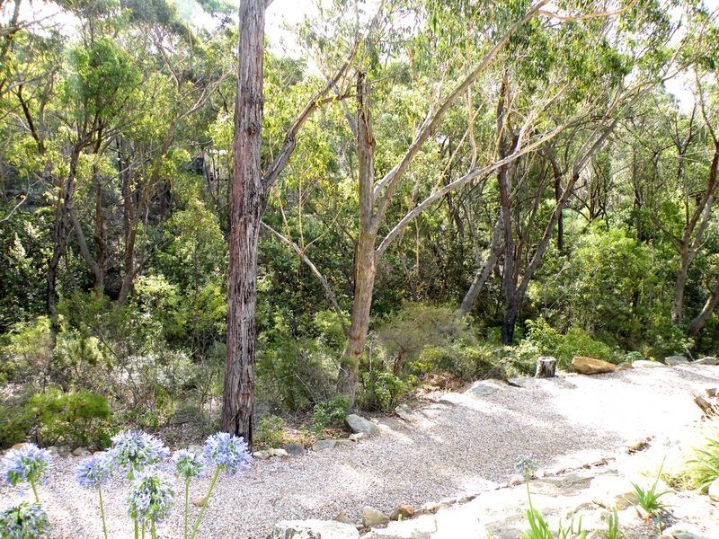 Buxton NSW 2571