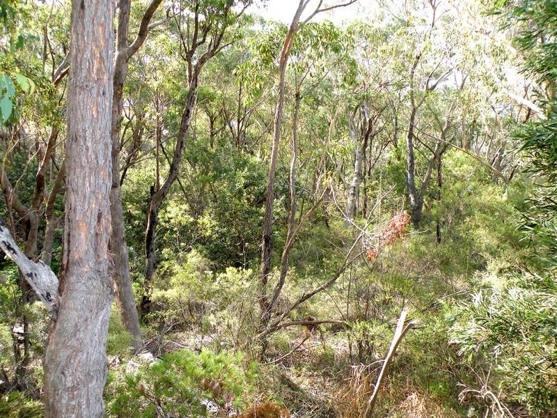 Buxton NSW 2571