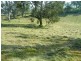 Picton NSW 2571