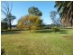 280 Pheasants Nest Road, Pheasants Nest NSW 2574