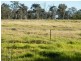 280 Pheasants Nest Road, Pheasants Nest NSW 2574