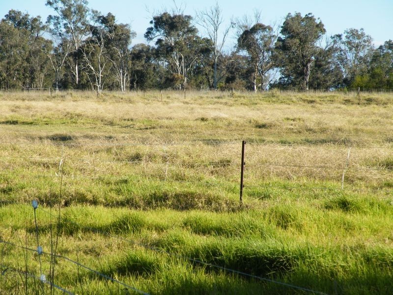 280 Pheasants Nest Road, Pheasants Nest NSW 2574