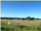 Wilton NSW 2571