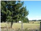 Wilton NSW 2571