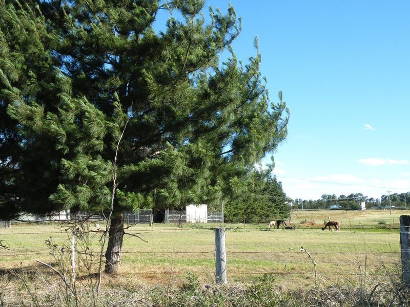 Wilton NSW 2571