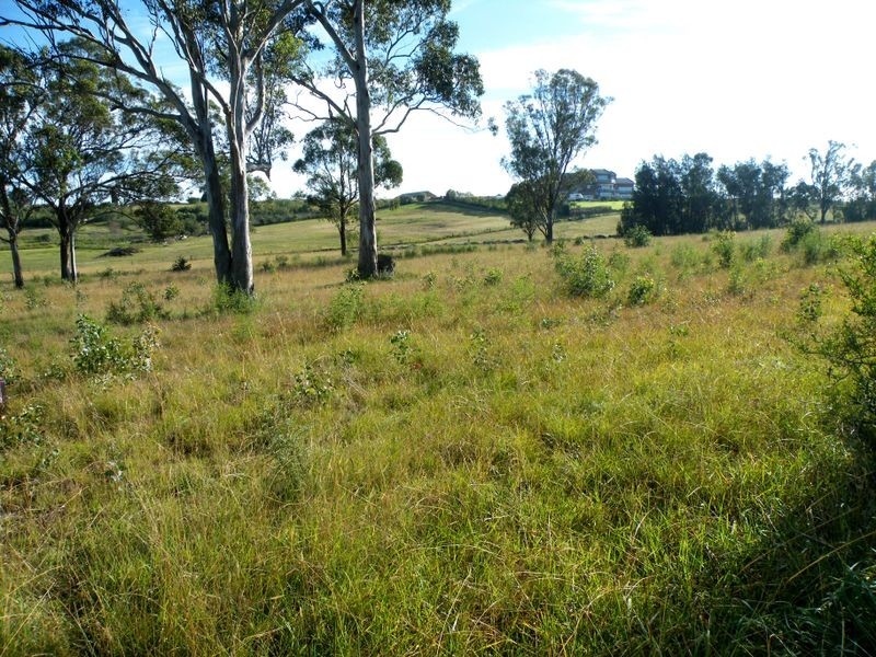 Currans Hill NSW 2567