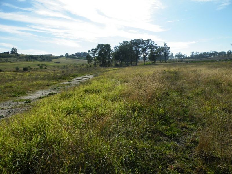 Currans Hill NSW 2567