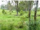 Currans Hill NSW 2567