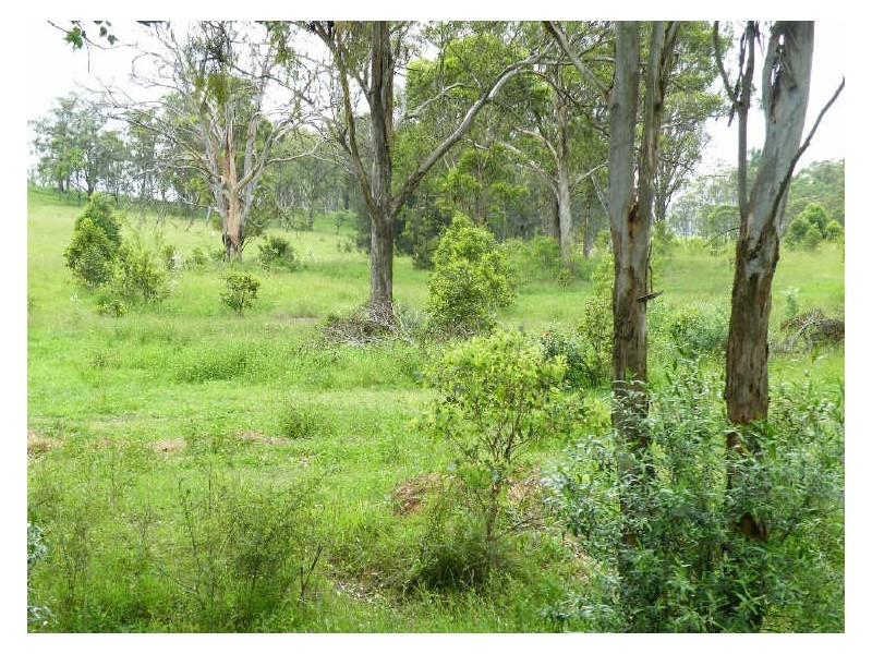 Currans Hill NSW 2567