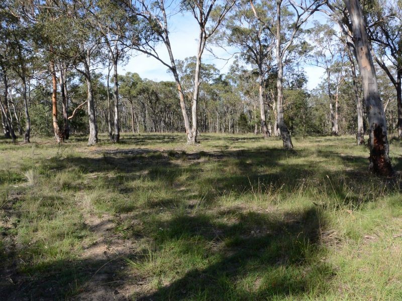 Pheasants Nest NSW 2574