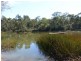 Pheasants Nest NSW 2574
