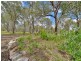 Pheasants Nest NSW 2574