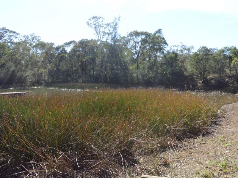 Pheasants Nest NSW 2574