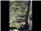 Pheasants Nest NSW 2574