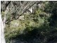Pheasants Nest NSW 2574