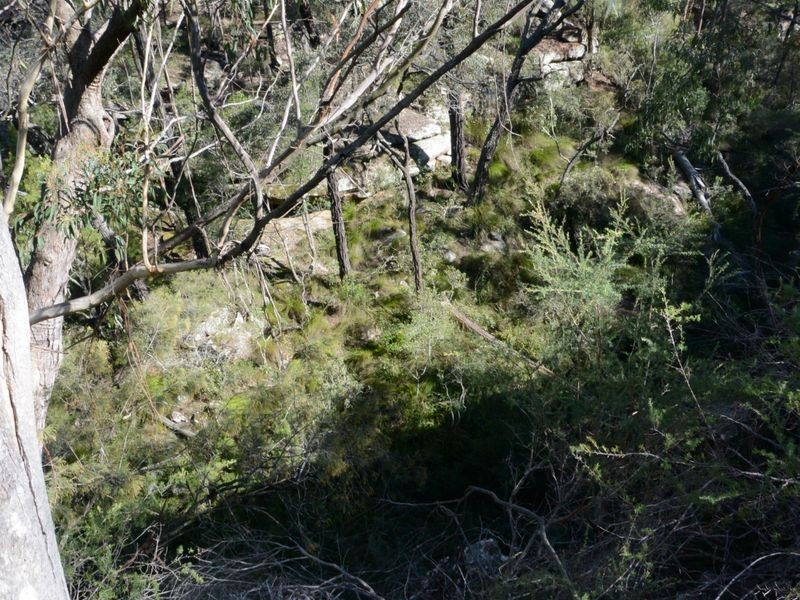 Pheasants Nest NSW 2574