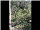 Pheasants Nest NSW 2574