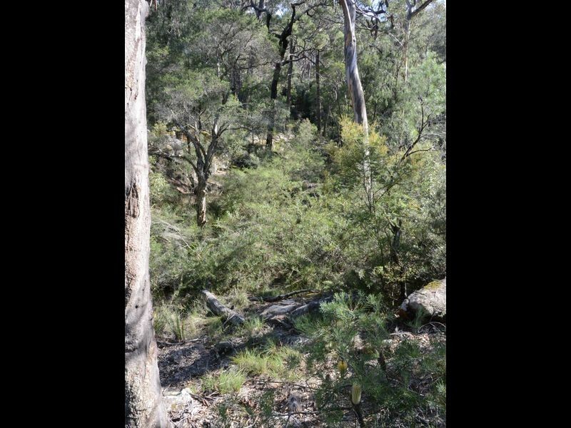 Pheasants Nest NSW 2574