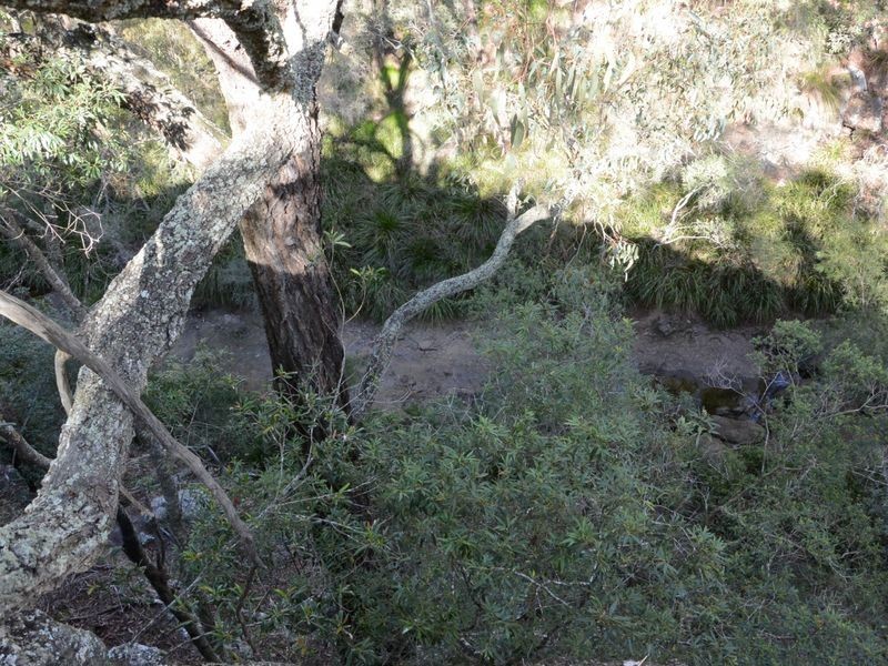 Pheasants Nest NSW 2574