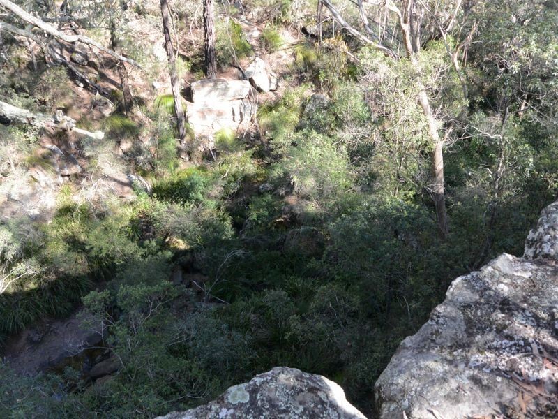 Pheasants Nest NSW 2574
