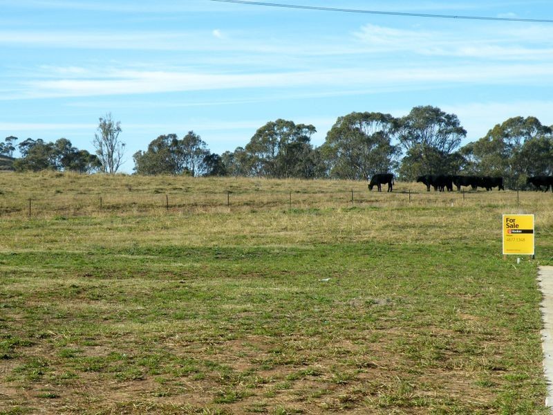 Currans Hill NSW 2567