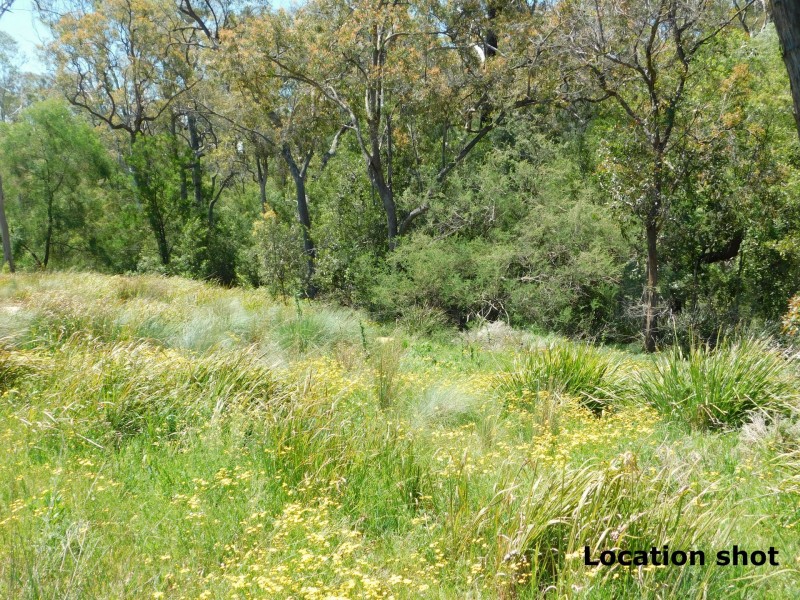 12 Blue Gum Place, Tahmoor NSW 2573