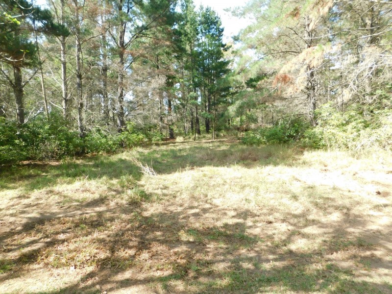 35 Meryla Road, Couridjah NSW 2571