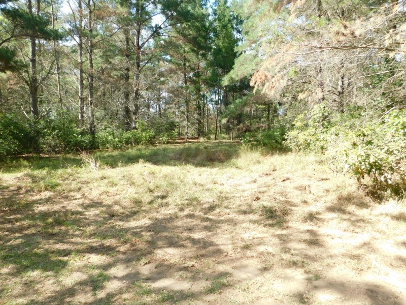 35 Meryla Road, Couridjah NSW 2571