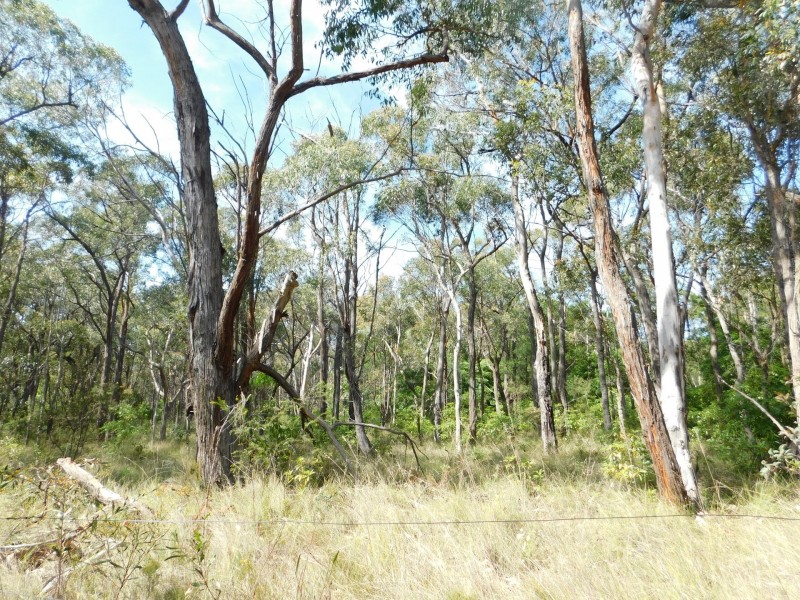 35 Meryla Road, Couridjah NSW 2571