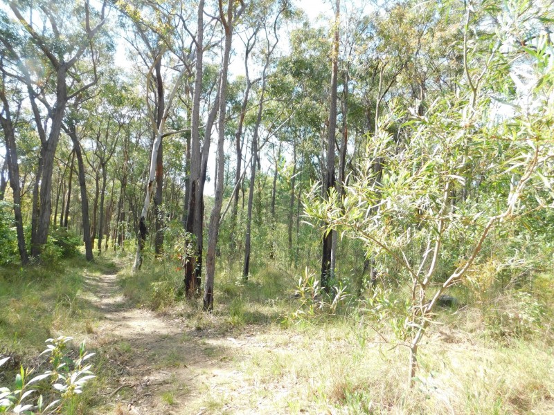 35 Meryla Road, Couridjah NSW 2571