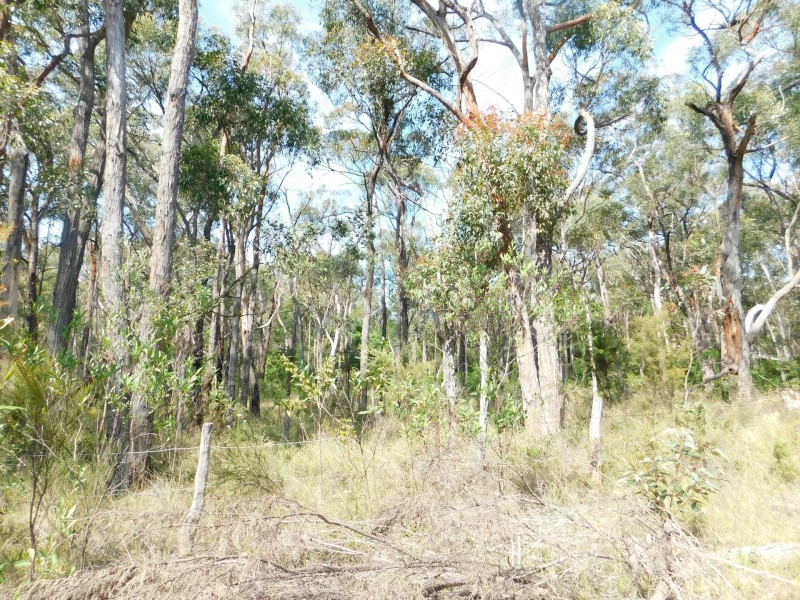 35 Meryla Road, Couridjah NSW 2571