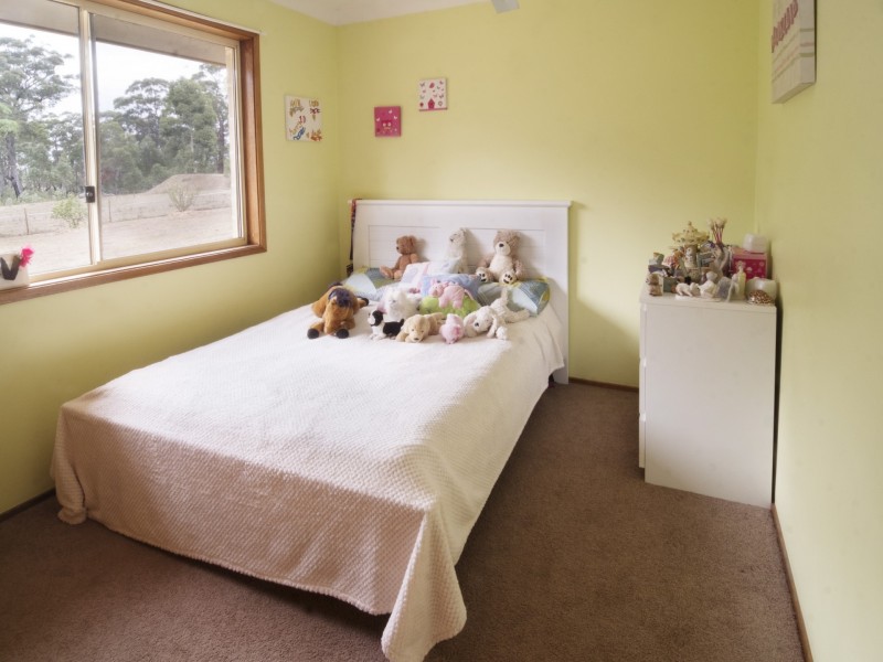 295 Bonds Road, Thirlmere NSW 2572