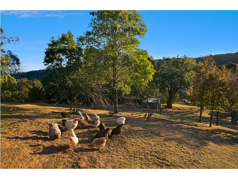 226 Menangle Street, Picton NSW 2571