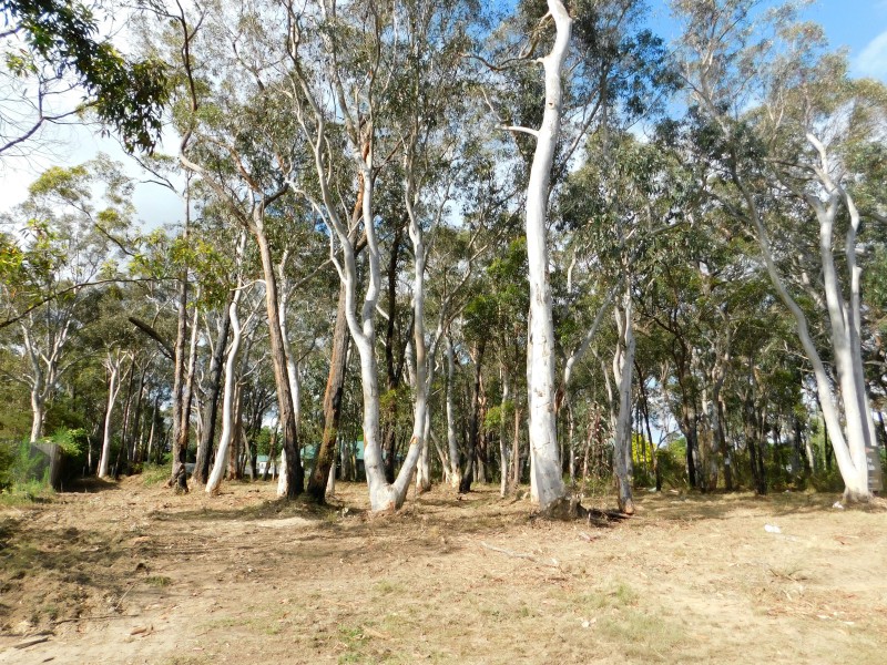 10 Sierra Street, Yerrinbool NSW 2575