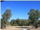 2 Monro, Woolomin NSW 2340