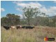 28 Jalna Road, Bendemeer NSW 2355