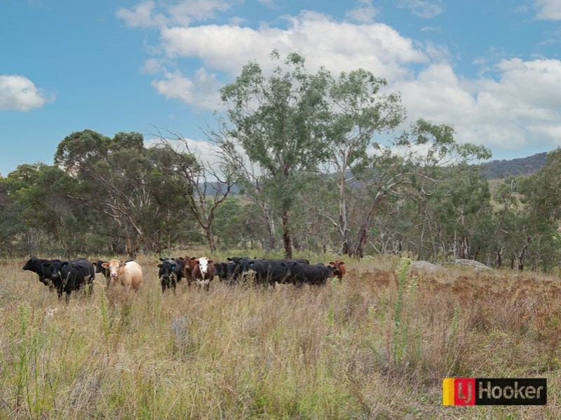 28 Jalna Road, Bendemeer NSW 2355