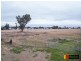 51 Ridge Street, Attunga NSW 2345
