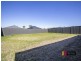 19 Gilbert Drive, Westdale NSW 2340