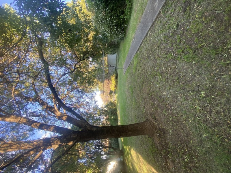 63 Oak Street, South Tamworth NSW 2340