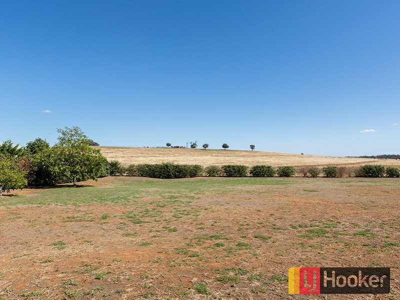 19 Sequoia, Moore Creek NSW 2340