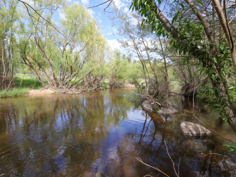 19 Blacks Mill Lane, O’connell NSW 2795