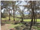 Bluegum/935 Duckmaloi Road, Duckmaloi NSW 2787